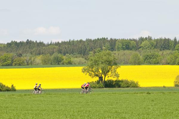 adobestock-23287005-600×0-10aa61f0