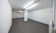 Stilvoll und sofort einzugsbereit! Moderne Doppelhaushälfte nahe des Grafenberger Waldes - Keller mit hohen Decken